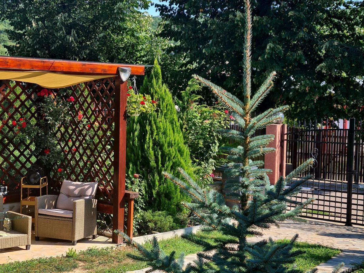 Casa Alex Hotel Sărata-Monteoru Exterior foto